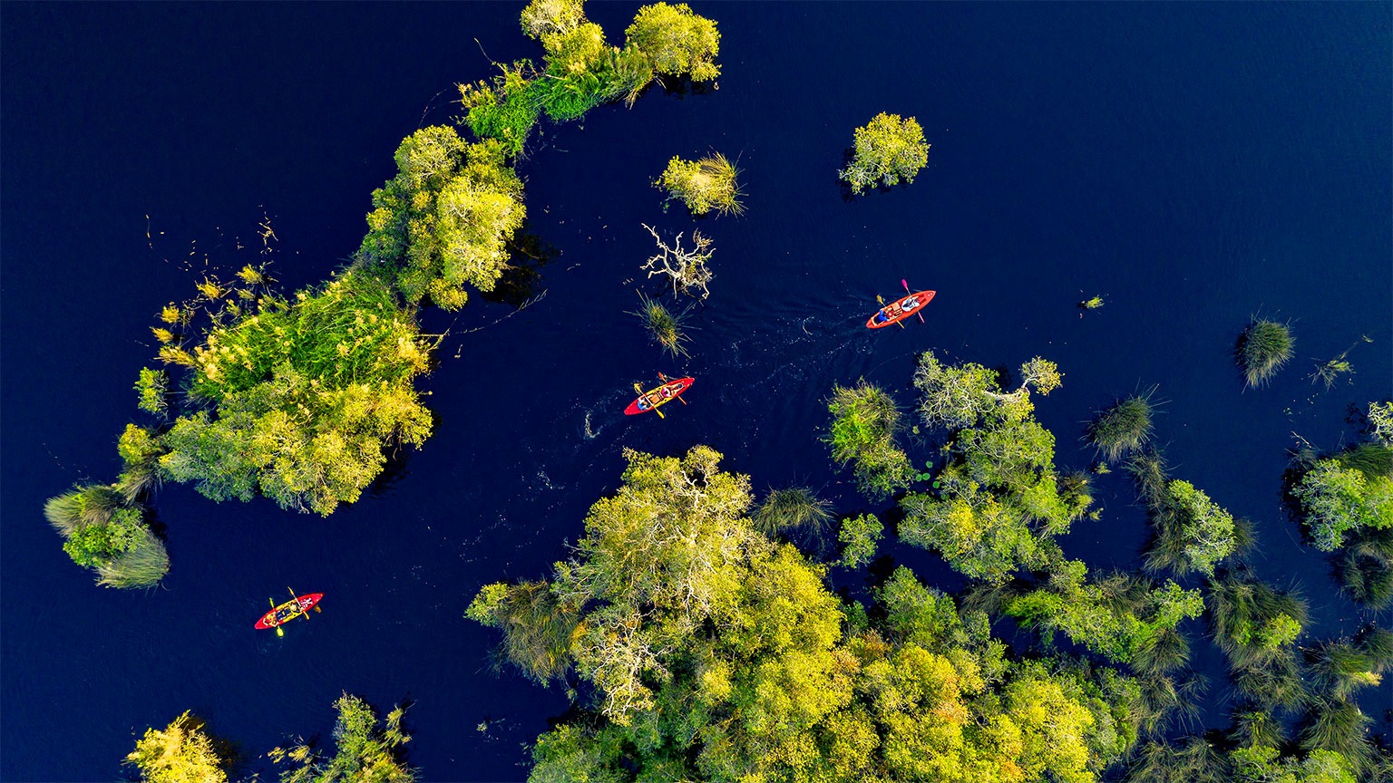 Overhead view of islands and ocean