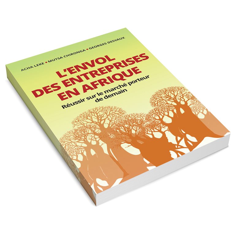 Lenvol des entreprises en Afrique