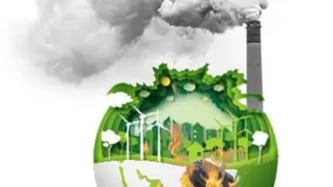 McKinsey highlights opportunity to reconsider decarbonisation plans