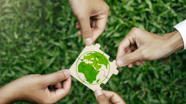 كيف تطور التزام الشركات بقضايا الطبيعة منذ عام 2022؟