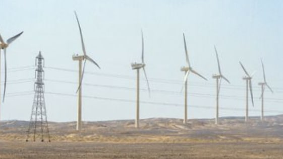 المنتدى الاقتصادى العالمى: التحول الأخضر يوفر 12 مليون وظيفة جديدة