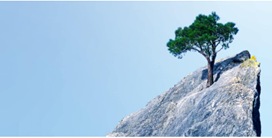 Benefit from the momentum of building resilience to crises in achieving a comprehensive and sustainable growth future