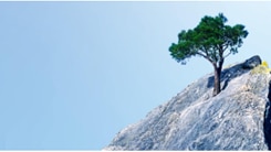 Benefit from the momentum of building resilience to crises in achieving a comprehensive and sustainable growth future