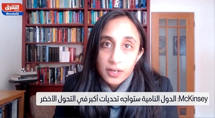 ماكينزي: فاتورة التحول الأخضر قد تصل لـ9.2 تريليون دولار سنوياً.