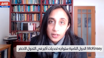 ماكينزي: فاتورة التحول الأخضر قد تصل لـ9.2 تريليون دولار سنوياً.