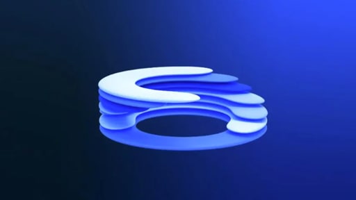 Smart Money: A comparison between the individual investor's and the fundamental investor's dealings with the Big Seven stocks