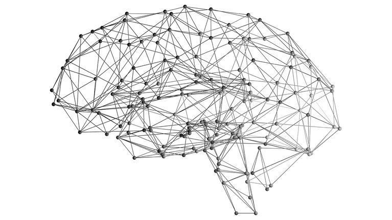 An executive primer on artificial general intelligence