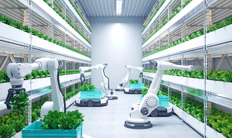 A modern vertical farm with rows of shelves filled with leafy green plants. Several automated robotic arms are seen harvesting the plants and placing them into turquoise crates on automated vehicles.