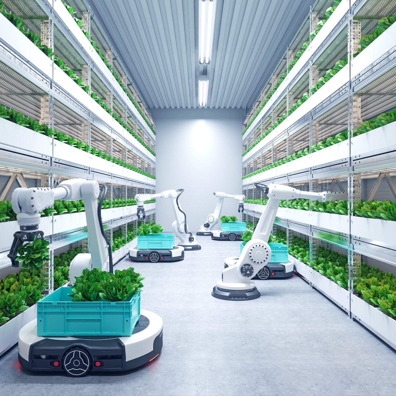 A modern vertical farm with rows of shelves filled with leafy green plants. Several automated robotic arms are seen harvesting the plants and placing them into turquoise crates on automated vehicles.