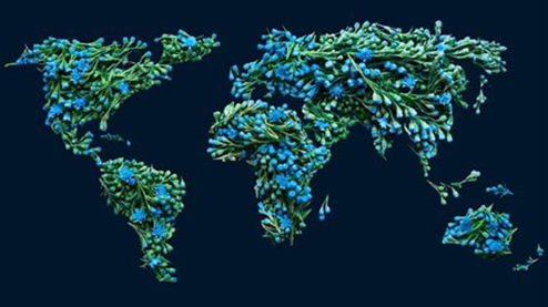 Roadmap to net zero: Who will pay for the $3.5 trillion transition?