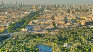 Saudi Arabia spearheading the energy transition in Middle East