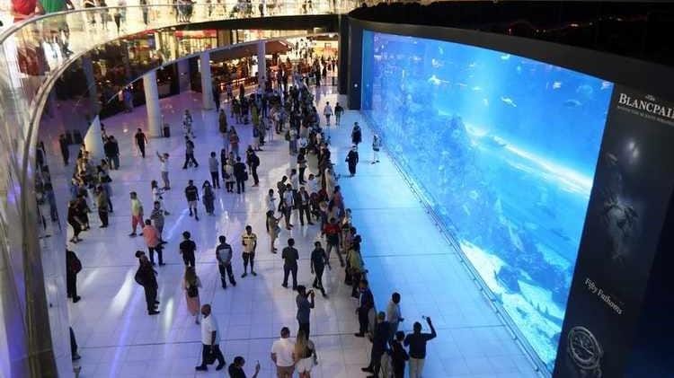 High Optimism UAE consumers sold on recovery