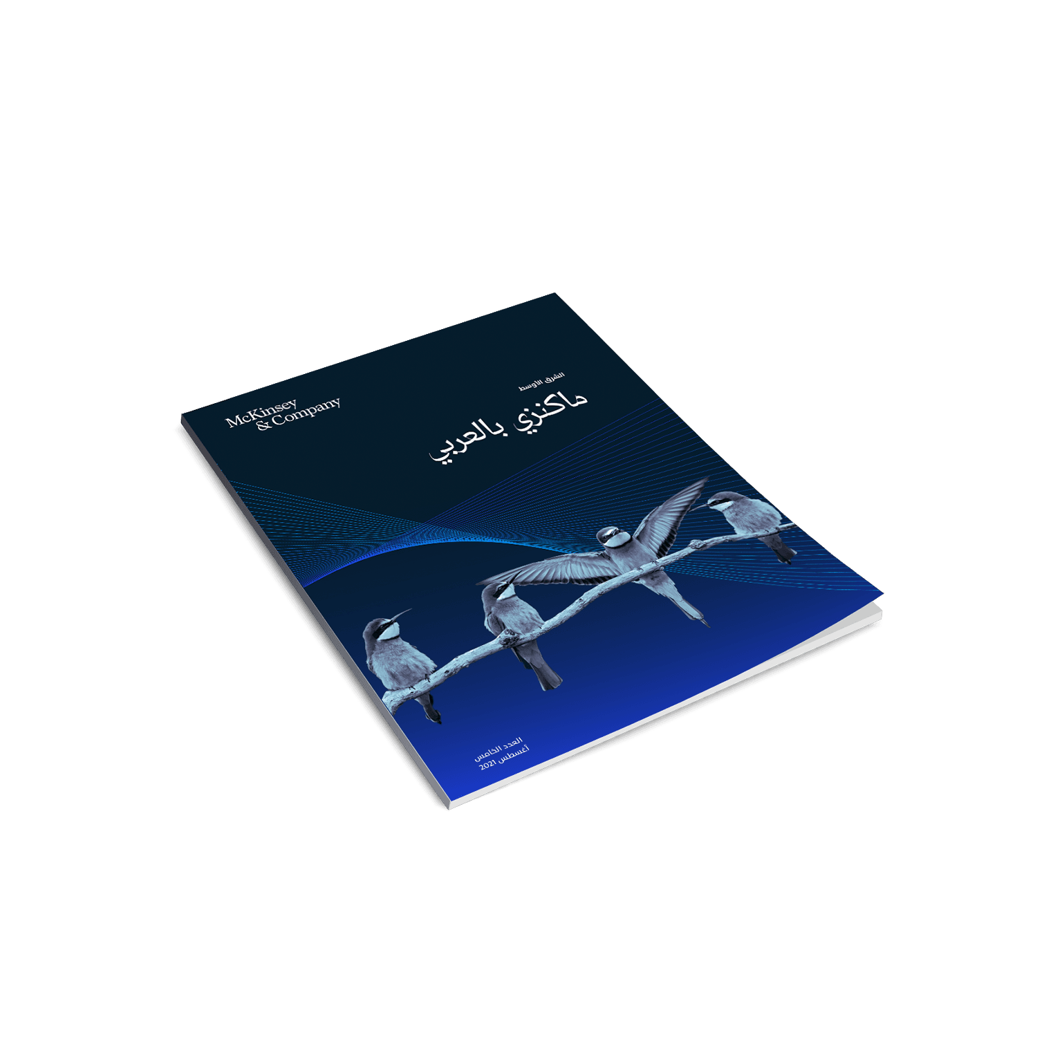 McKinsey Bel Arabi - Volume 5