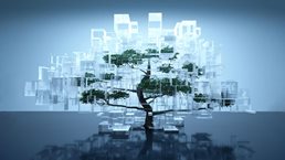 Digitally generated image of a tree inside glass containers on a blue background