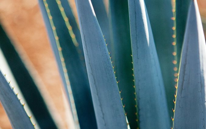 A tale of two Mexicos: Growth and prosperity in a two-speed economy