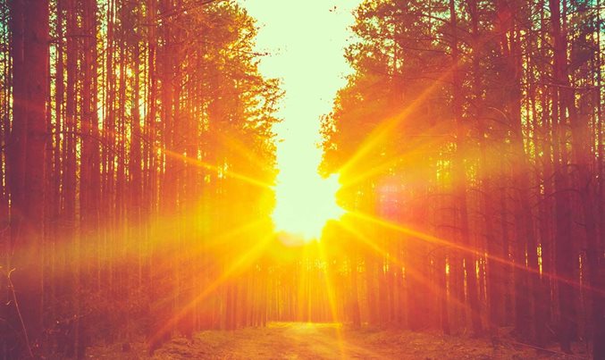 Thriving in the new abnormal: North American asset management