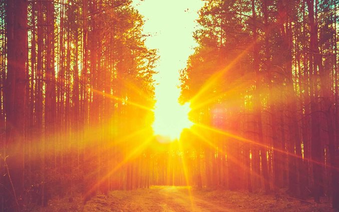 Thriving in the new abnormal: North American asset management