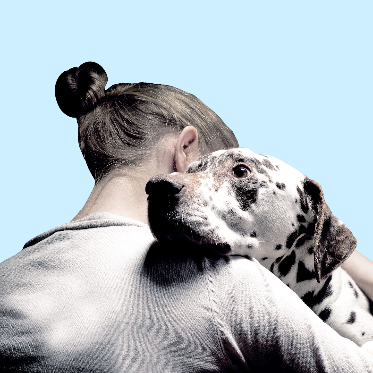A close up of a woman embracing a Dalmatian. The woman is facing away from the camera with the endearing expression and kind eyes of the Dalmatian facing forward. 