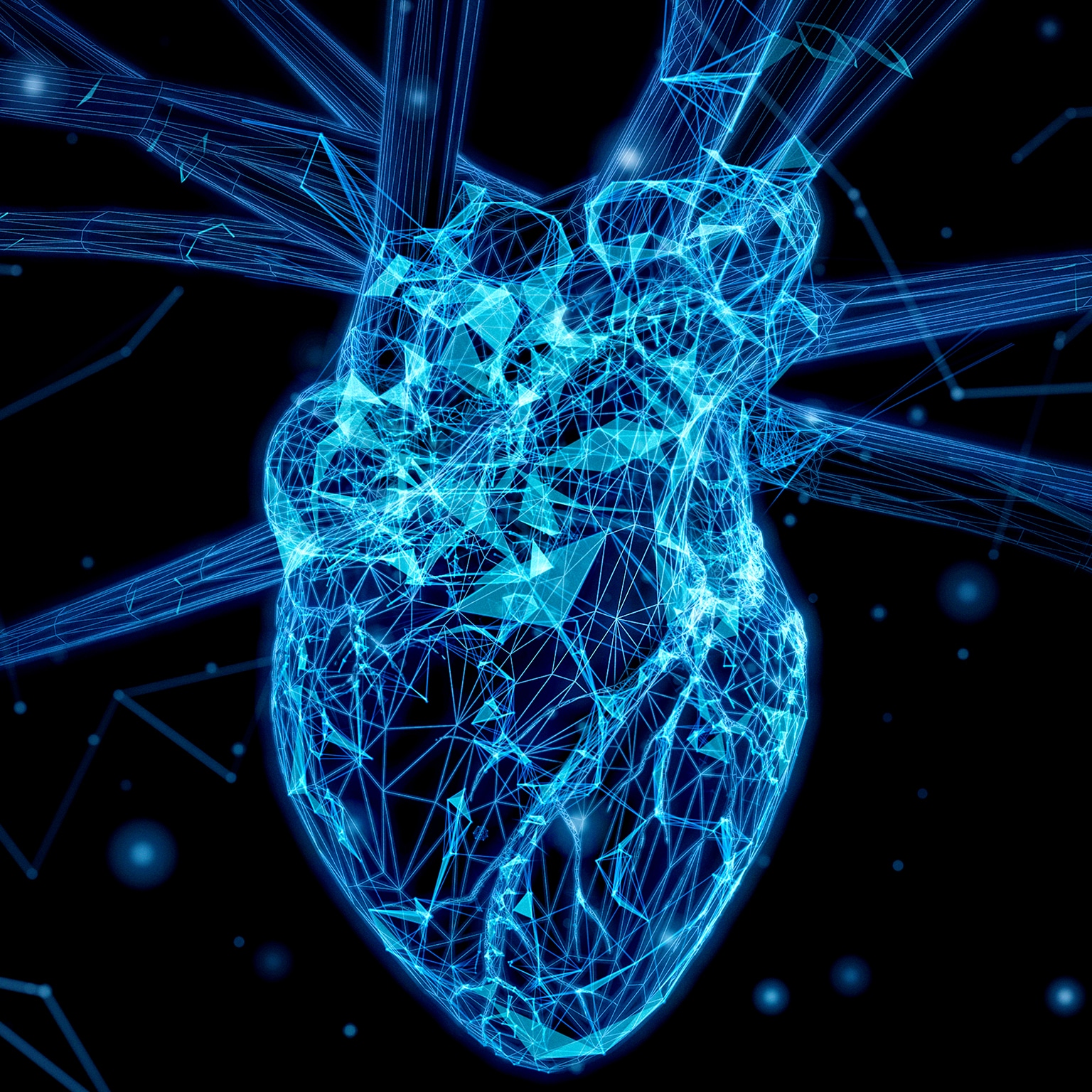 Abstract plexus heart on a black background.