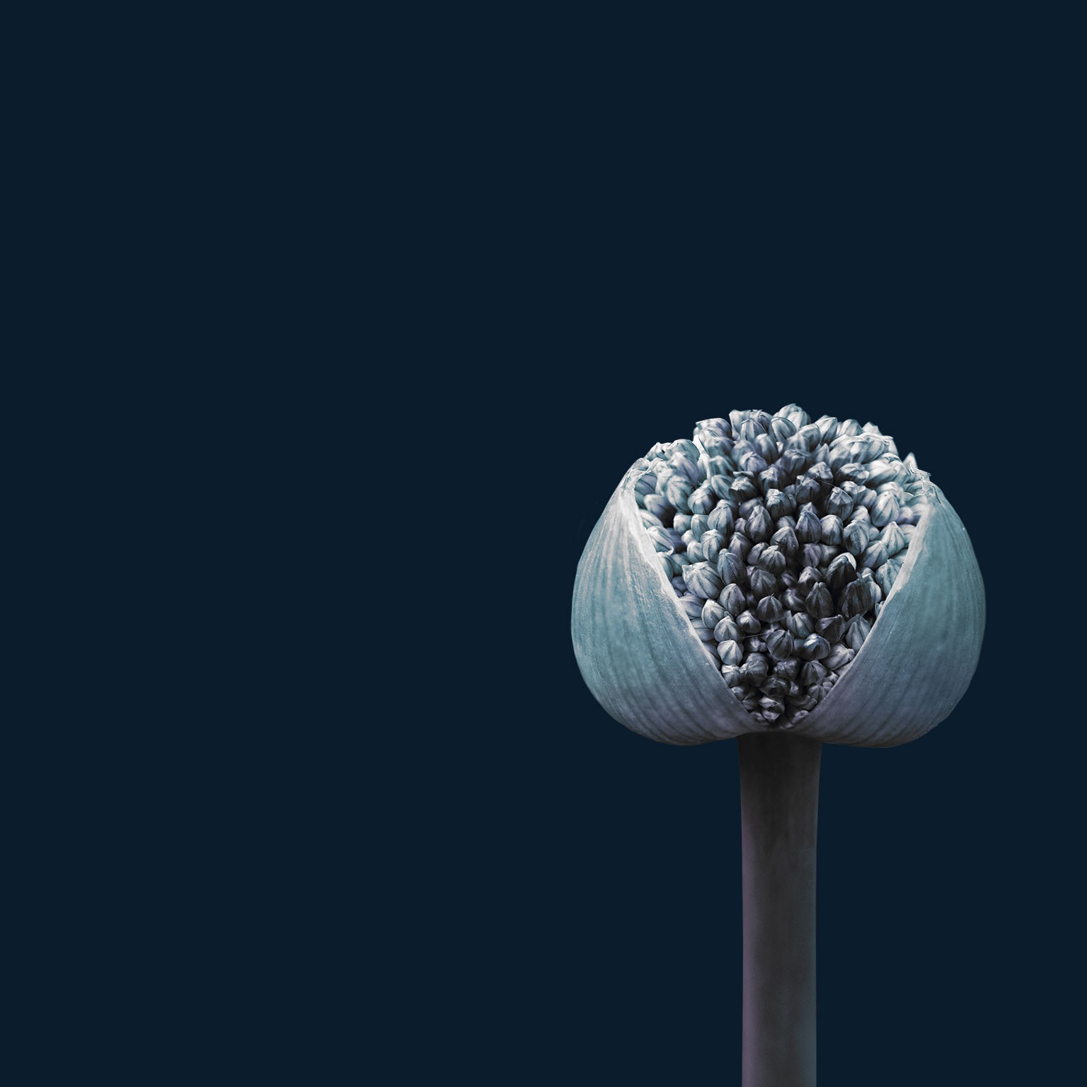 Redefining the role of the leader in the reskilling era