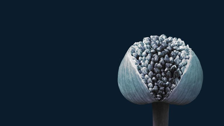 Redefining the role of the leader in the reskilling era