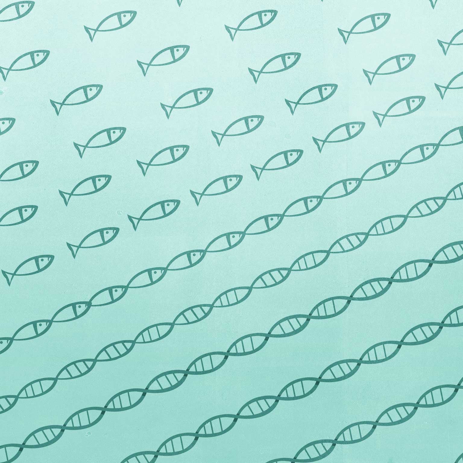 Building a tech-enabled ecosystem: An interview with Ping An’s Jessica Tan