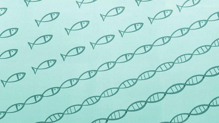 Building a tech-enabled ecosystem: An interview with Ping An’s Jessica Tan