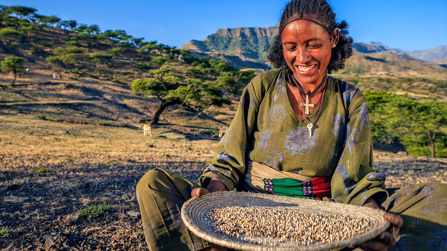 McKinsey co-founds effort with global partners to transform agriculture and food systems in Africa