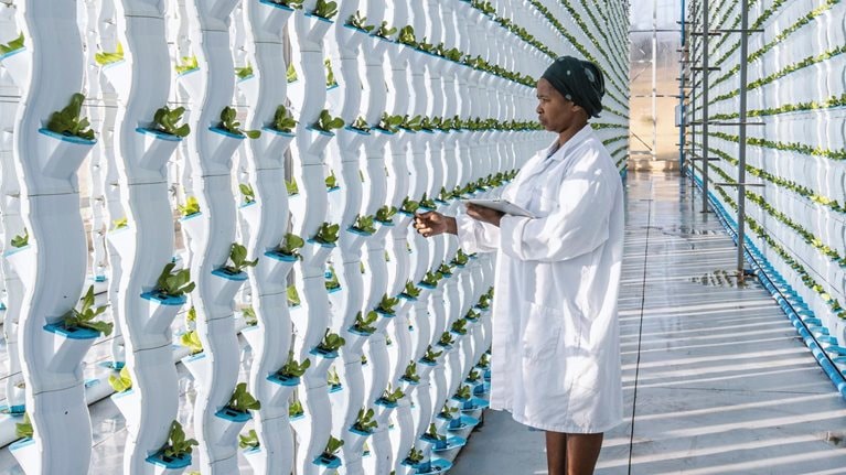 How digital tools can help transform African agri-food systems