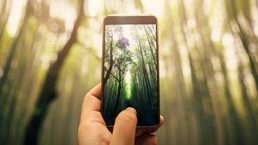 Taking a photo of bamboo forest - stock photo
