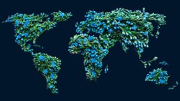 Map of the world designed in flowers