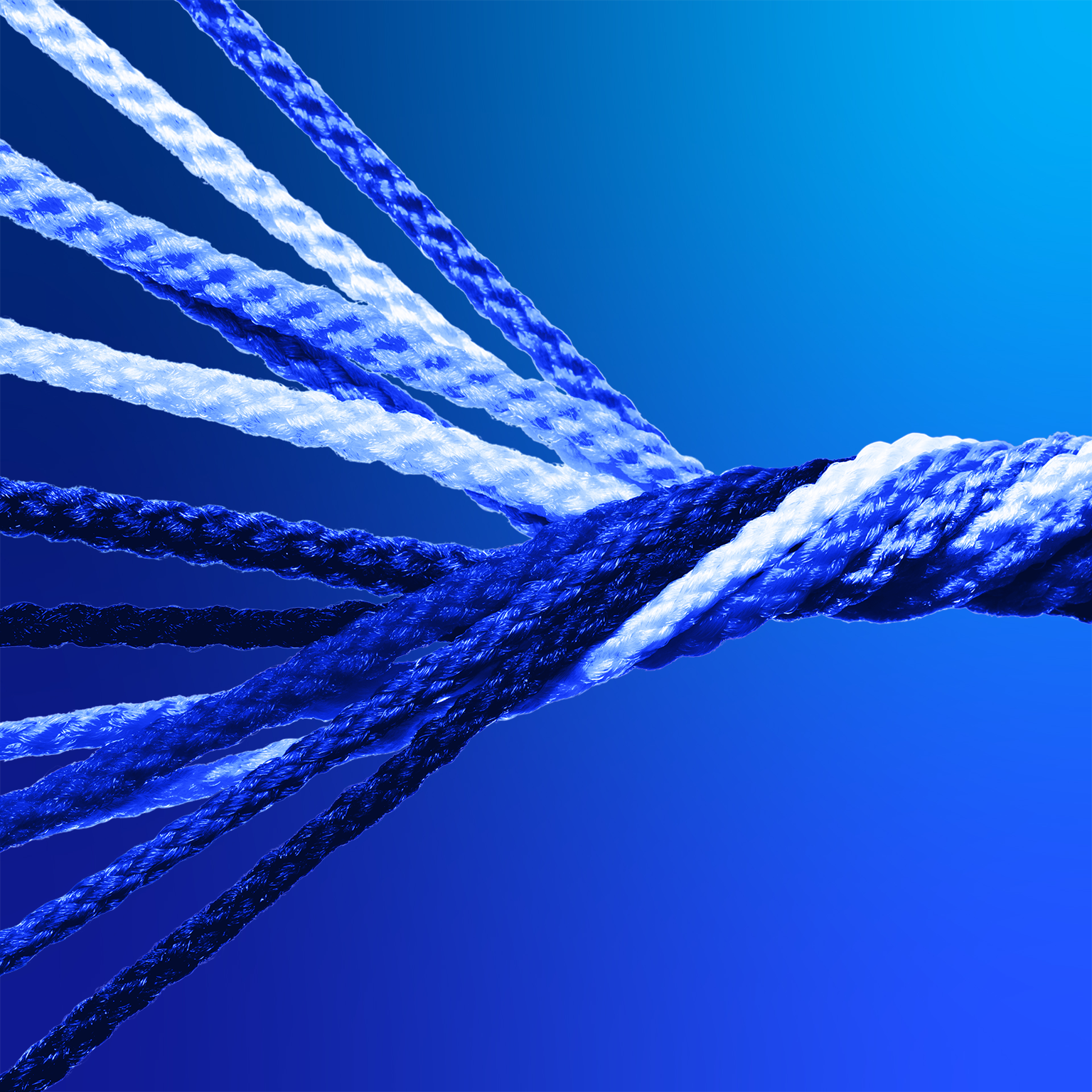 A close up of a blue and white strands of ropes knotting together into one