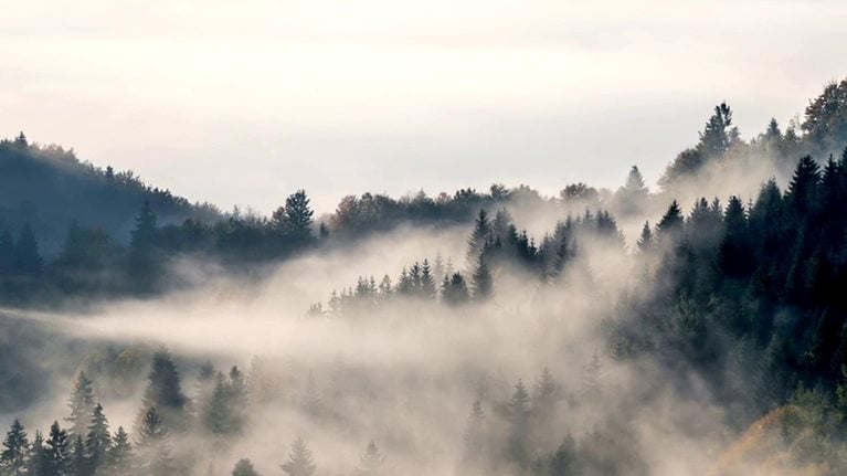 A time-lapse video captures rolling fog clouds above forested hills as morning light shines through.