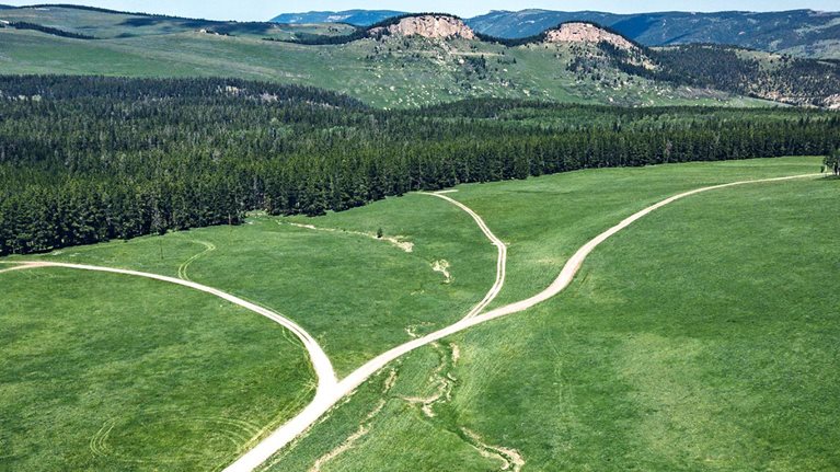A wide aerial view of a lush green landscape with multiple dirt roads branching and intersecting across open fields. In the distance, dense forest lines and rolling hills lead up to rocky ridges under a bright sky with scattered clouds.