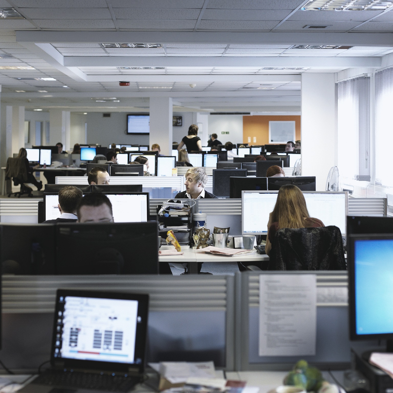 Image of office workers at their desks