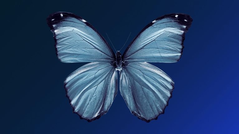 Innovate to net zero