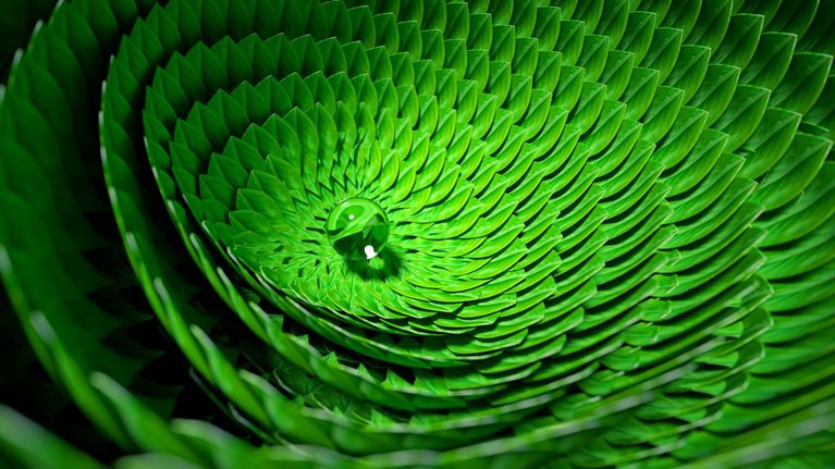 Organic circular pattern made out of green leaves with a dew drop at its center