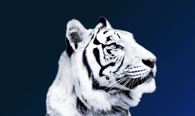 Asia’s future is now