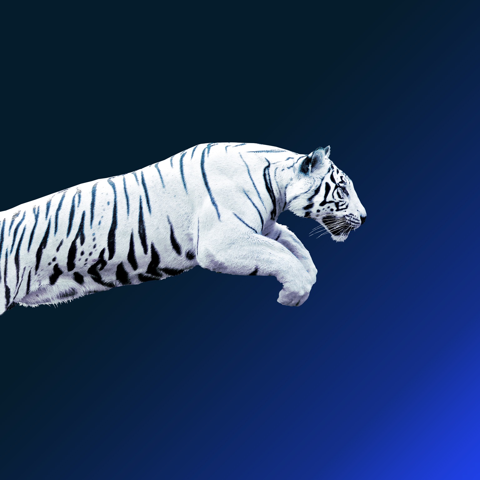 The future of Asia: Asian flows and networks are defining the next phase of globalization