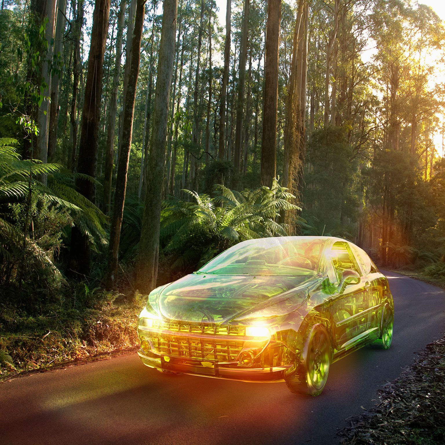 The global electric-vehicle market is amped up and on the rise