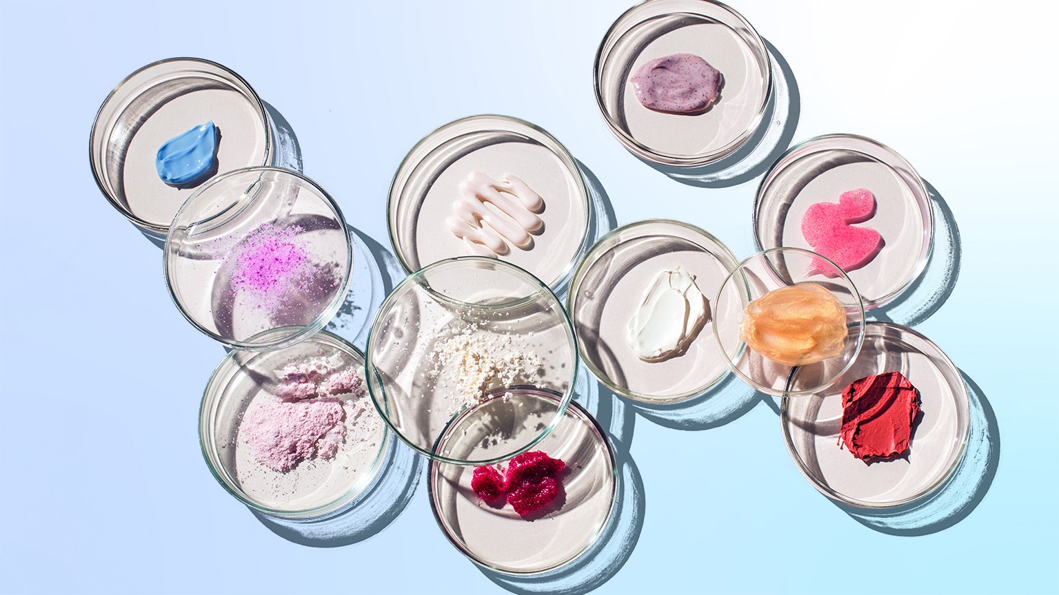 Top view of numerous petri dishes with various cosmetics in them.