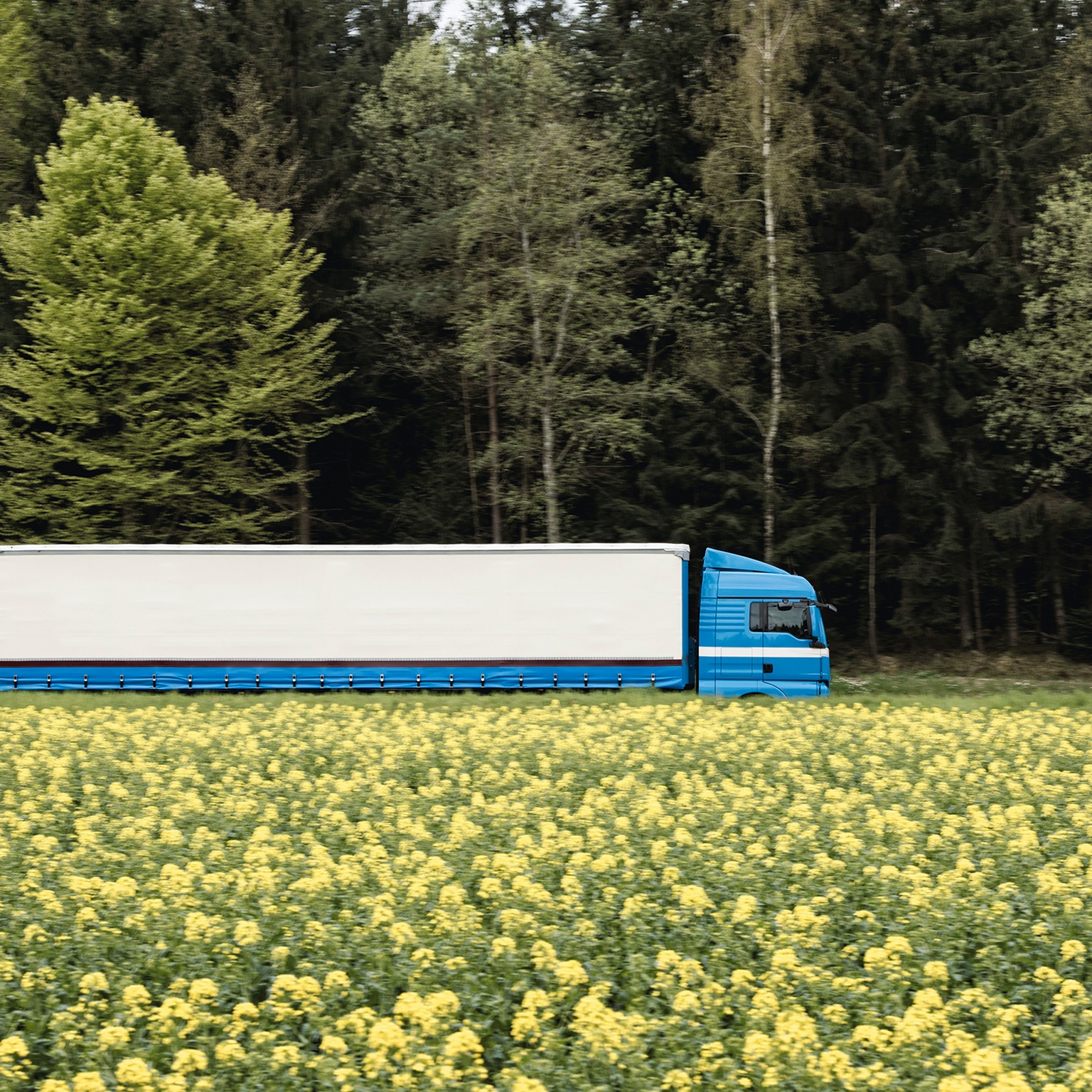 La descarbonización de la cadena de suministro: cómo hacerla realidad