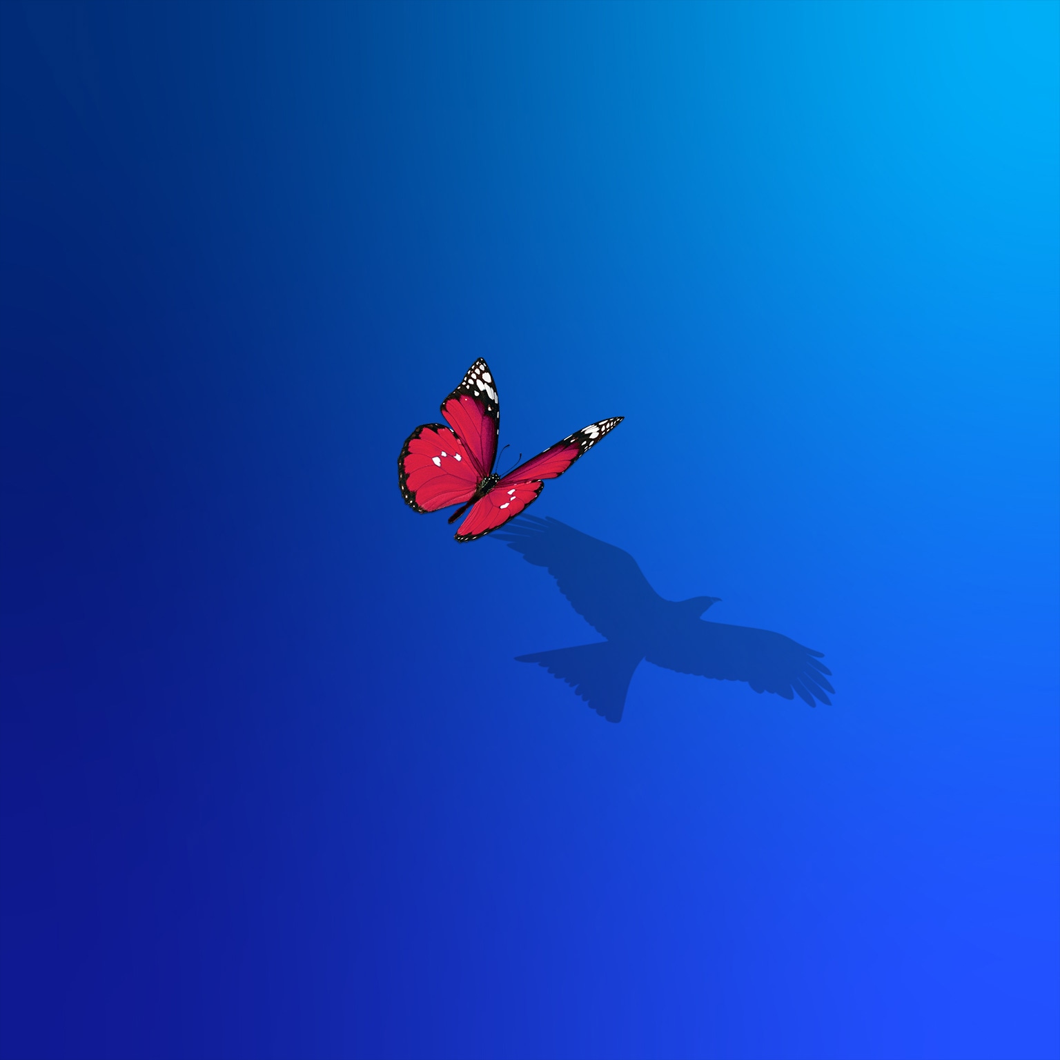 提升波兰的雄心：新纪元的开端？