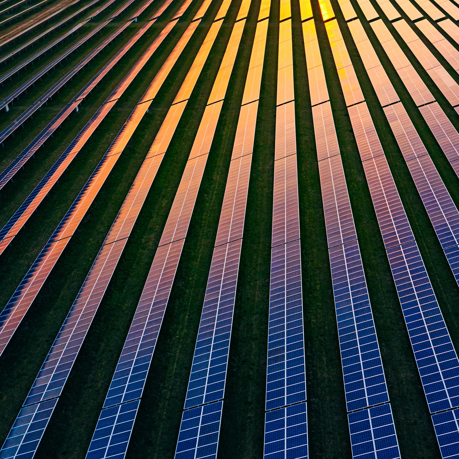 Net-Zero Power Sector