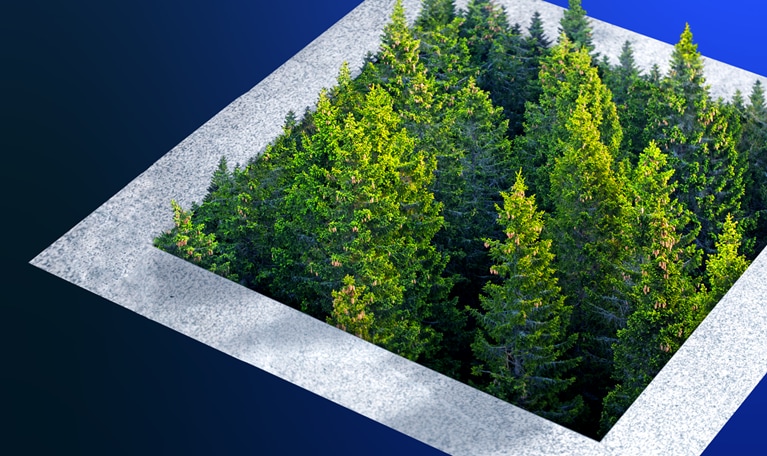 Environmental concept: pine forest growing out of a city concrete. - stock photo
