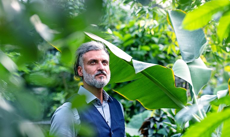 A portrait of mature man relaxing in greenhouse, green business concept