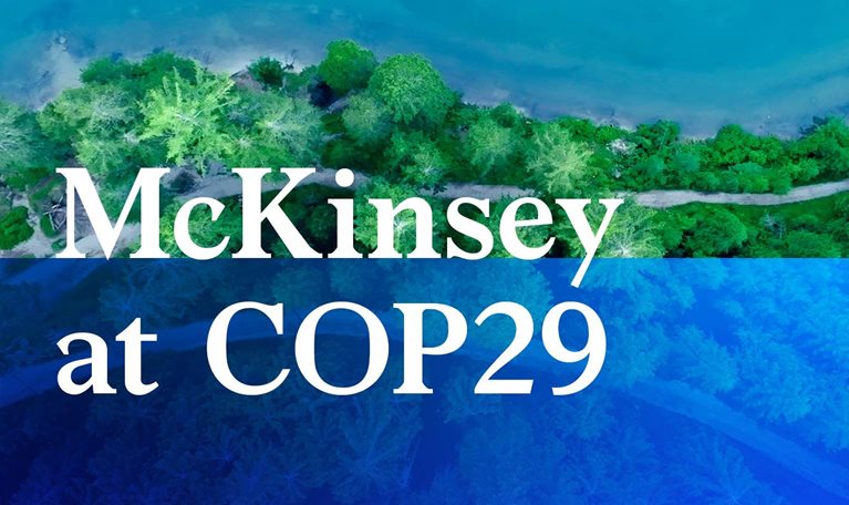 McKinsey at COP29