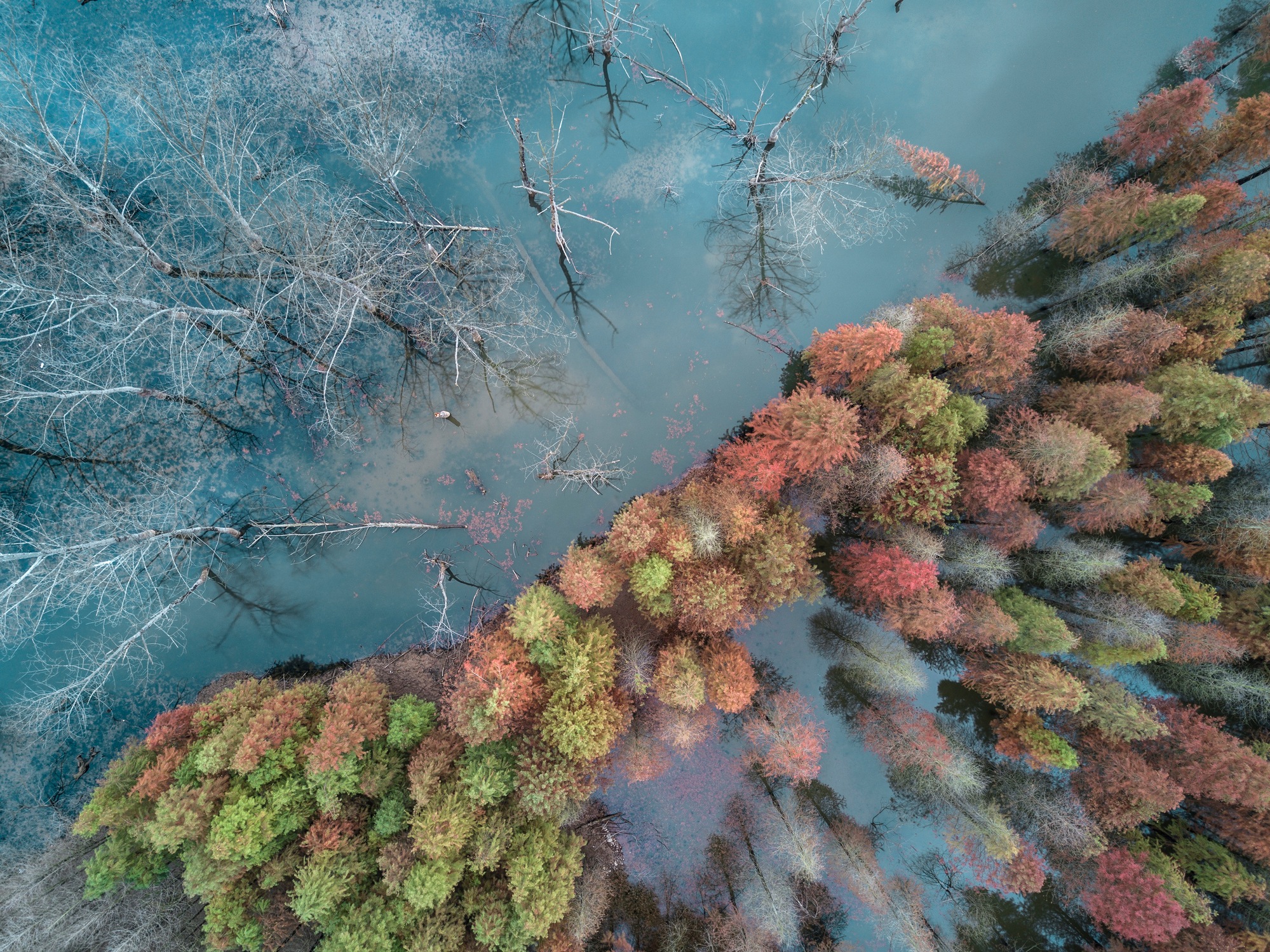 McKinsey’den, şehirlerin iklim değişikliğine uyum sağlayabilmesi için 15 eylem önerisi 