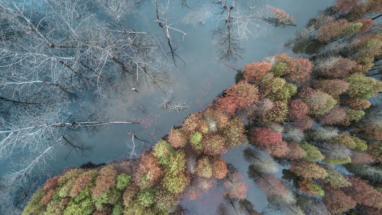 McKinsey’den, şehirlerin iklim değişikliğine uyum sağlayabilmesi için 15 eylem önerisi