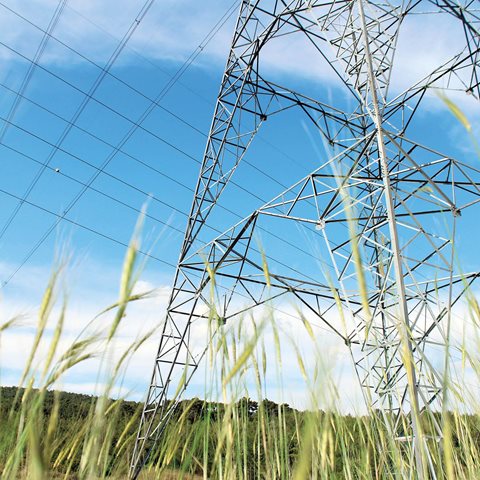 Energy 2050: Insights from the ground up